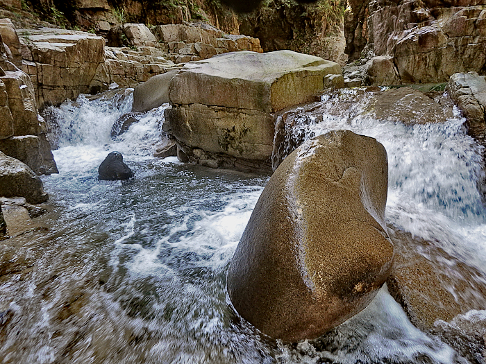 写真をクリックで拡大します