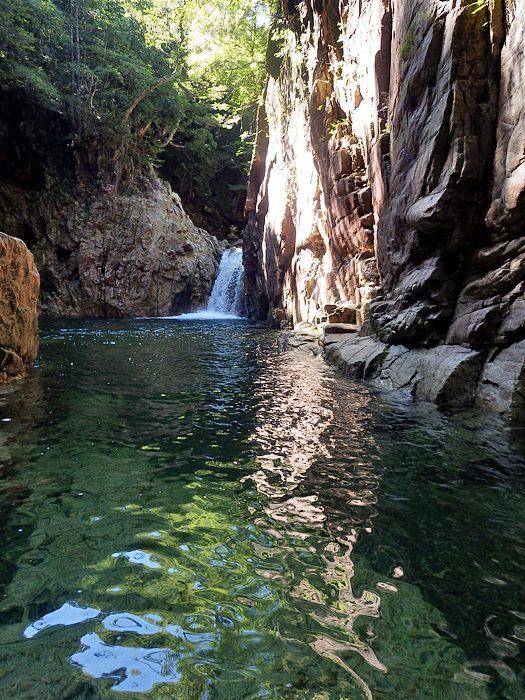 写真をクリックで拡大します