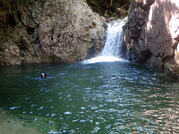 写真をクリックで拡大します