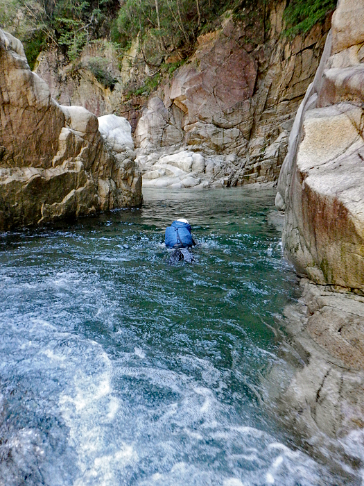 写真をクリックで拡大します