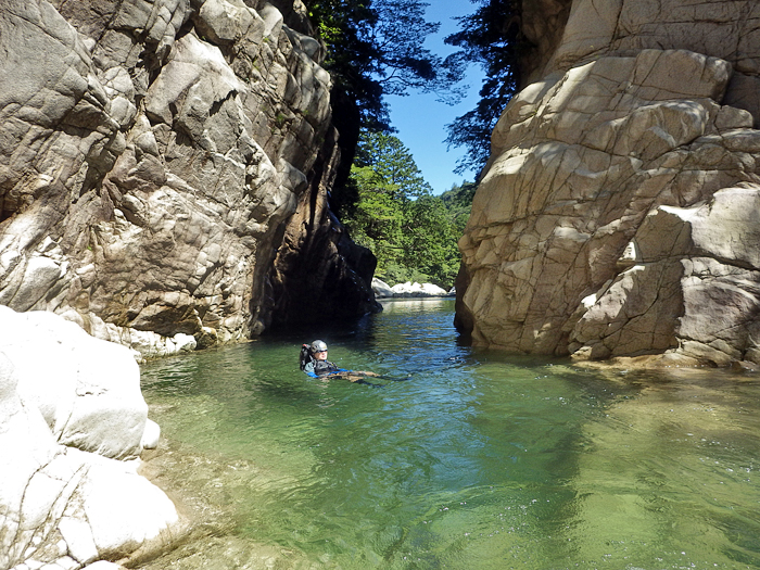 写真をクリックで拡大します