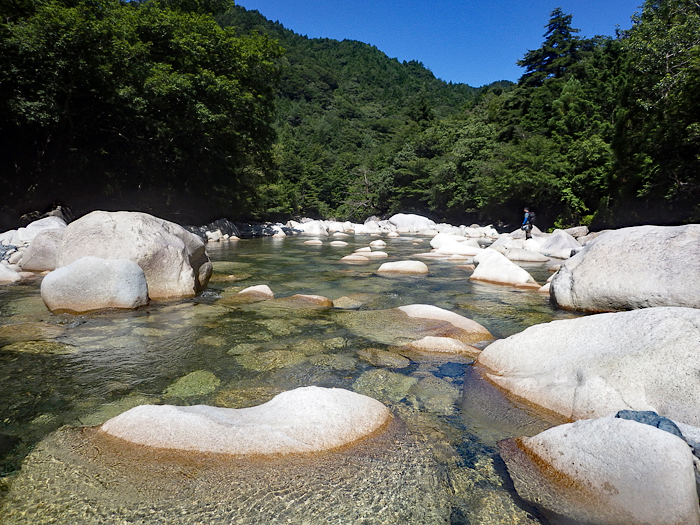 写真をクリックで拡大します