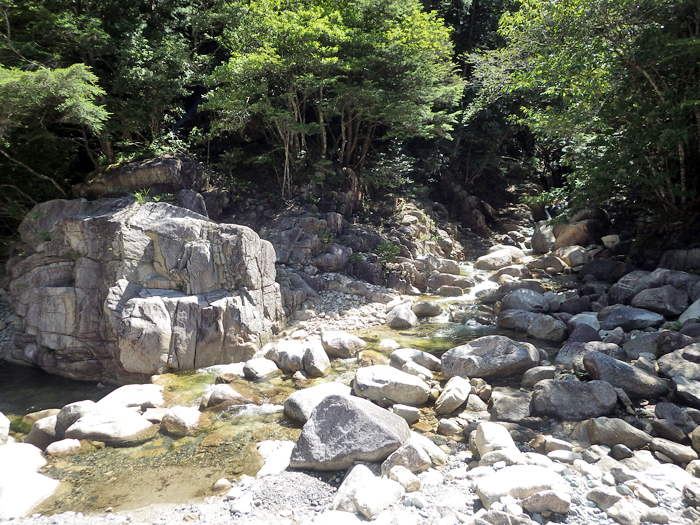 写真をクリックで拡大します