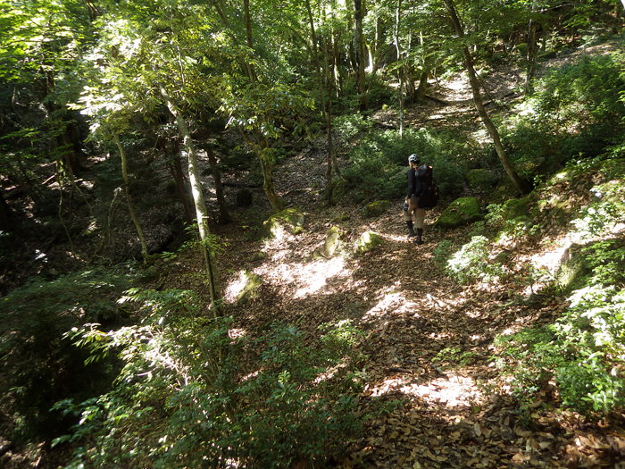 写真をクリックで拡大します