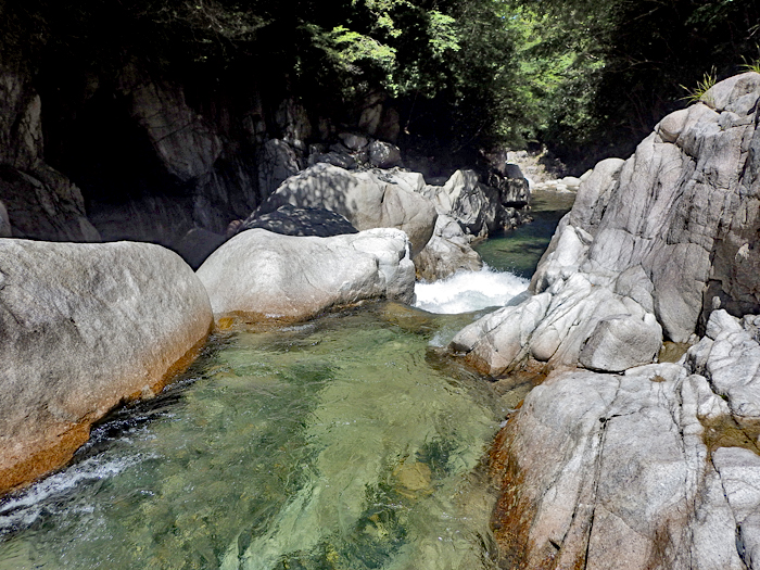 写真をクリックで拡大します