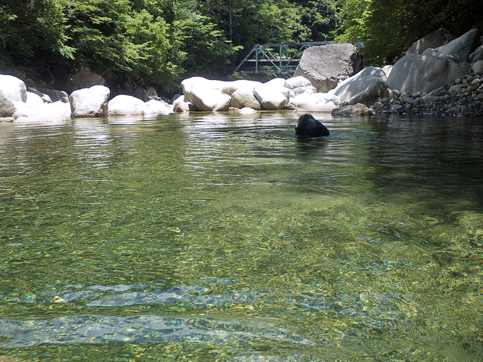 写真をクリックで拡大します