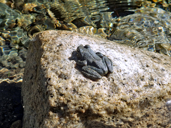 写真をクリックで拡大します