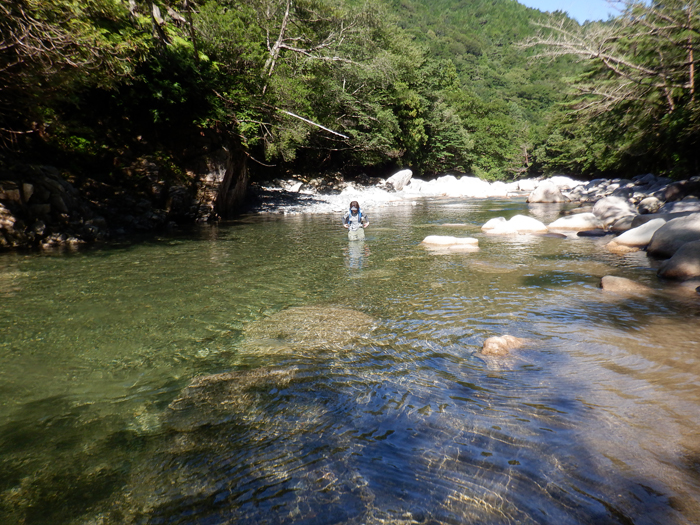 写真をクリックで拡大します