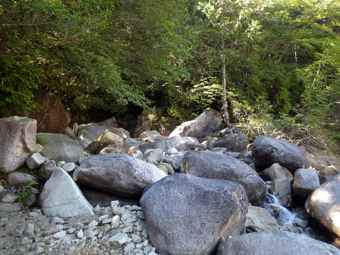 写真をクリックで拡大します